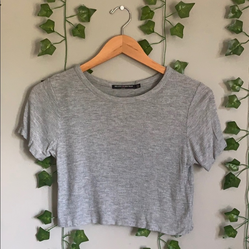 Brandy Melville Ribbed Crop Top